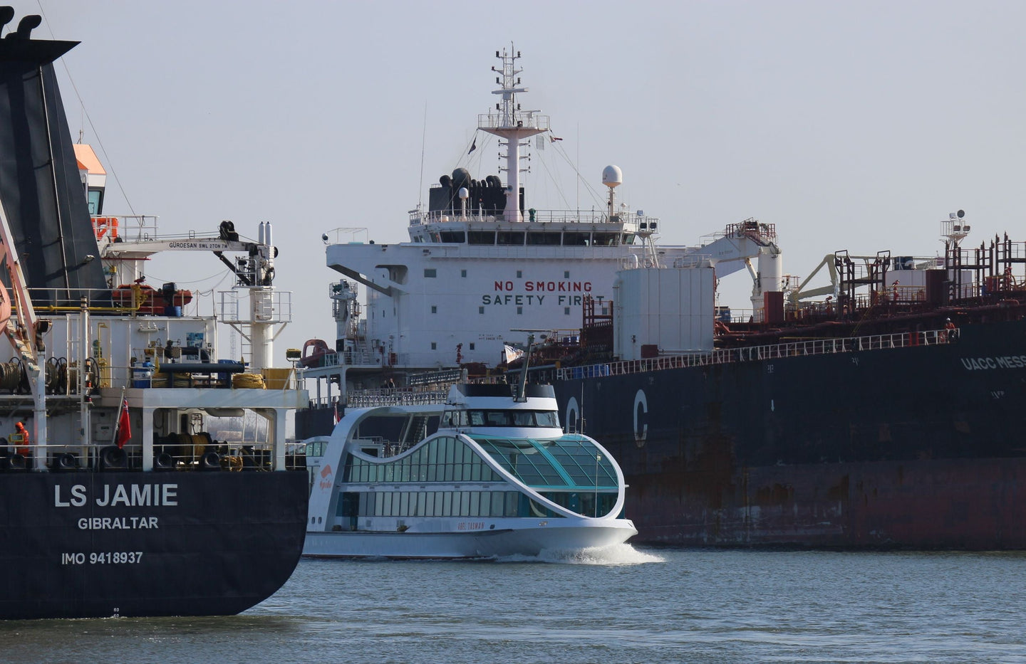Spido havenrondvaart Rotterdam - afbeelding 2