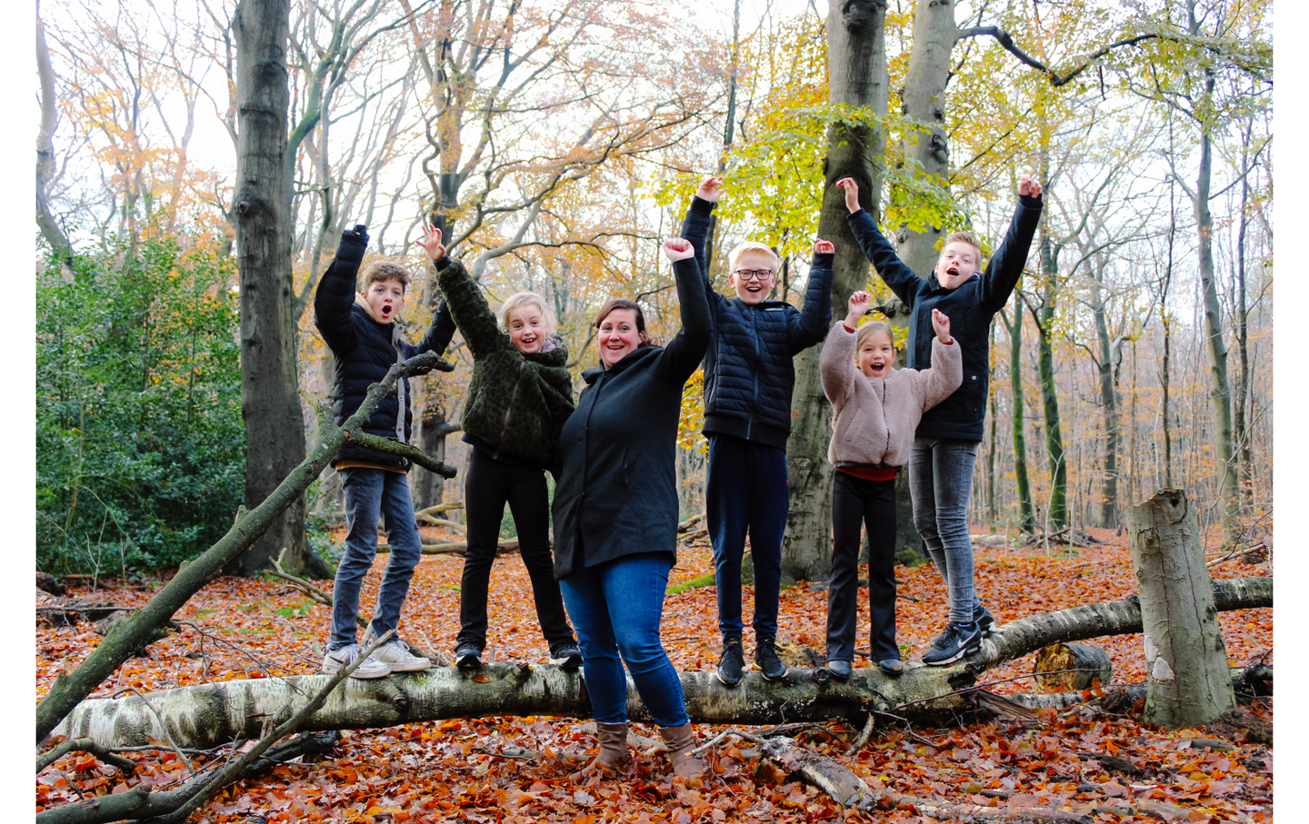 nature-games - afbeelding 3