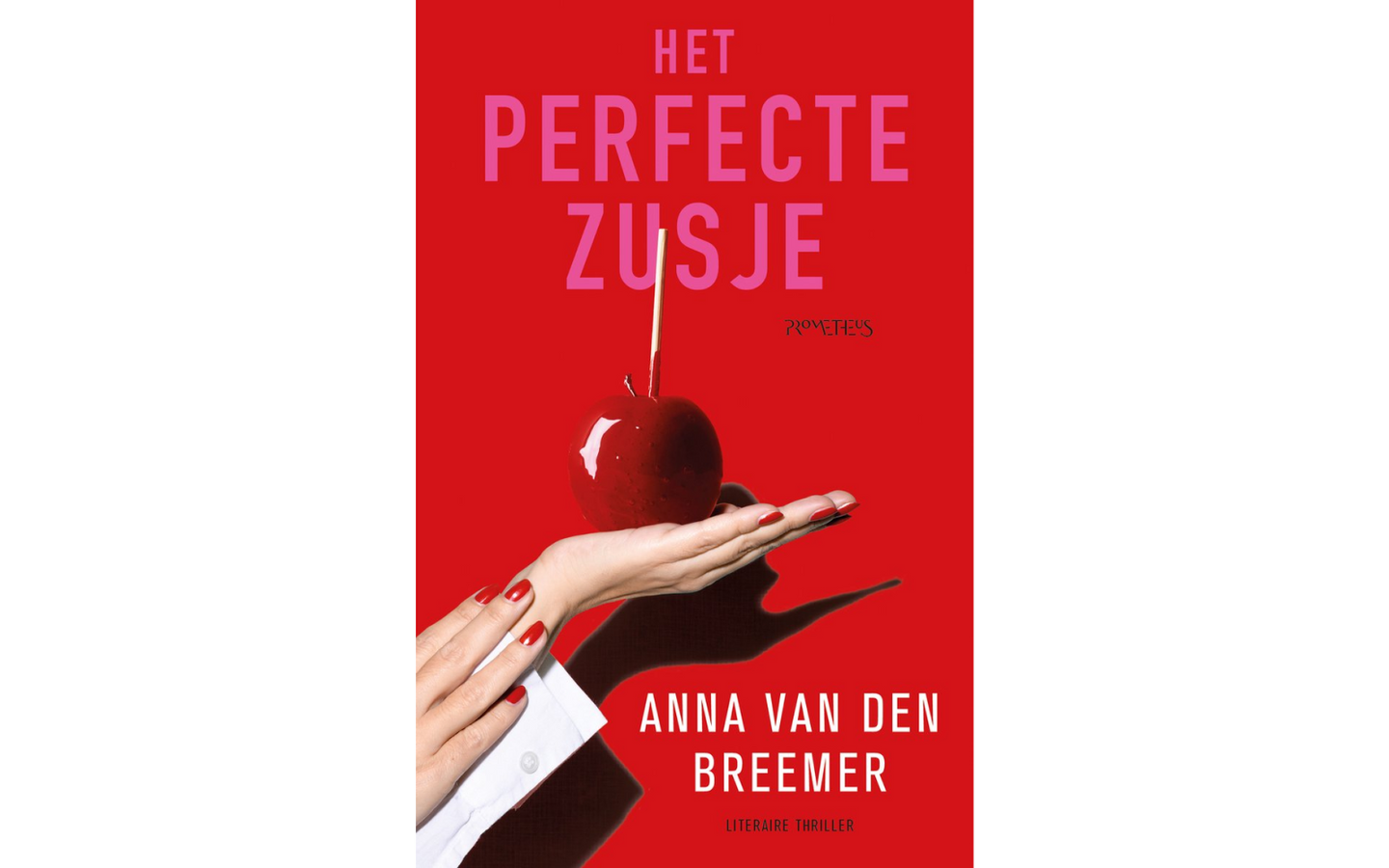 Het perfecte zusje - afbeelding 1