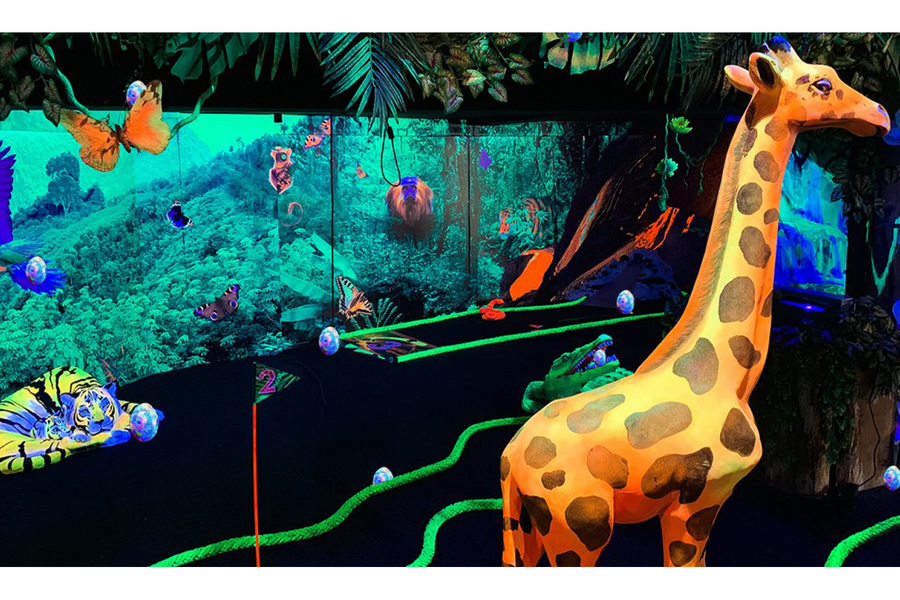 coronel-events-glowgolf - afbeelding 1