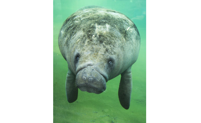 Burgers' Zoo - afbeelding 6