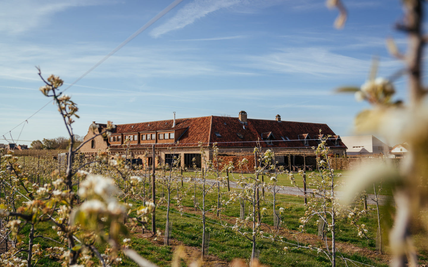 Overnachting Hoeve Roosbeek incl. ontbijt en diner - afbeelding 11