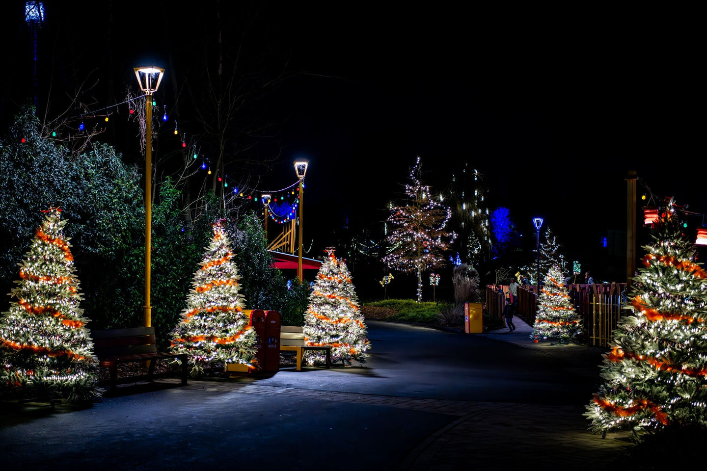 Walibi Winter 2025 (BE) - afbeelding 11