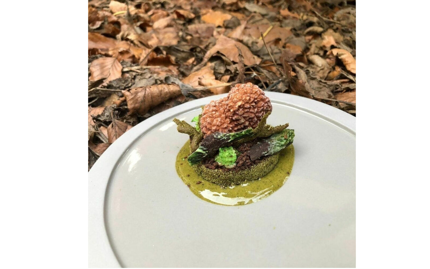 10-Gangen Michelin diner, Duiven bij 't Raedthuys - afbeelding 2