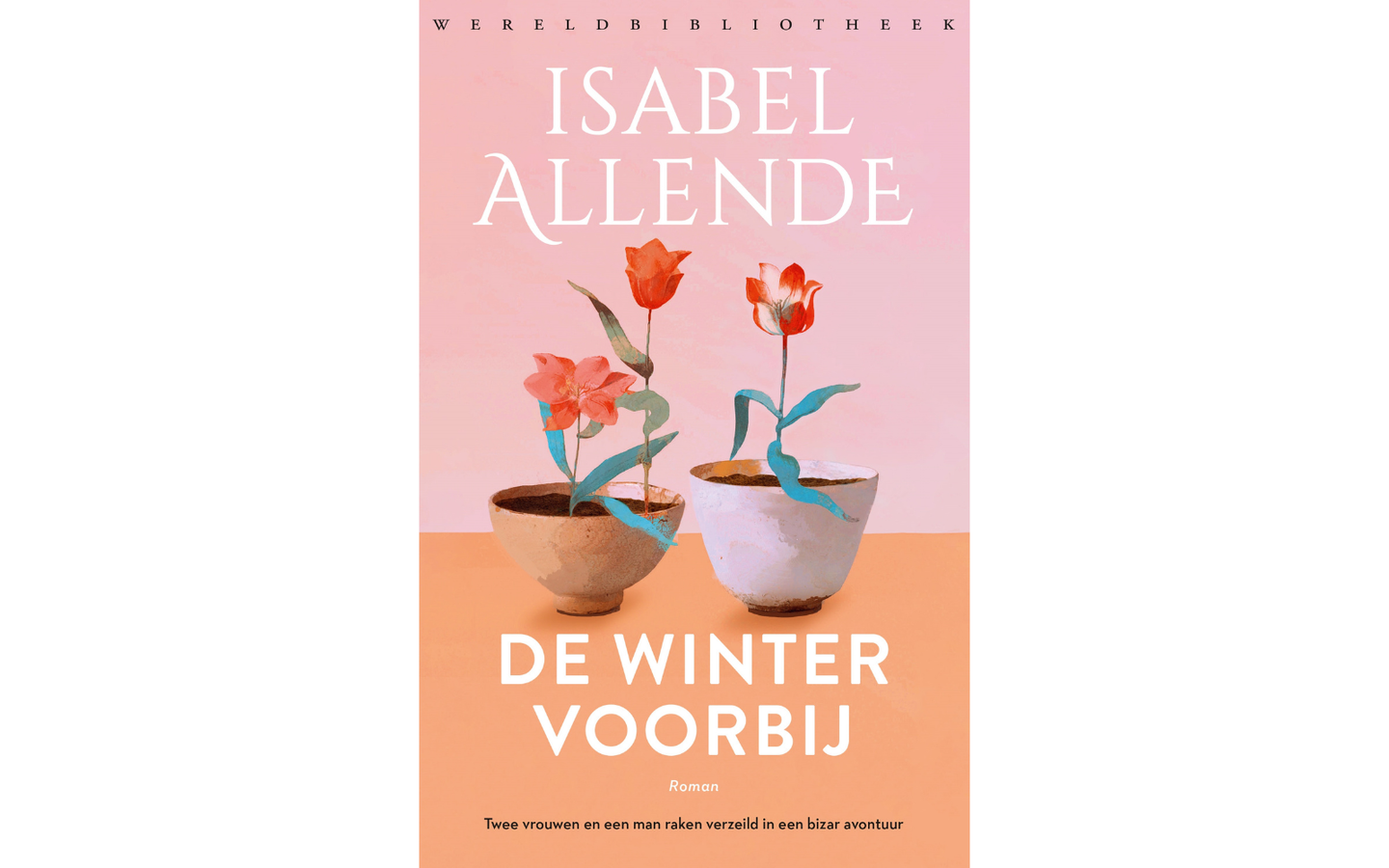 Boekenpakket Isabel Allende - 3 boeken - afbeelding 3