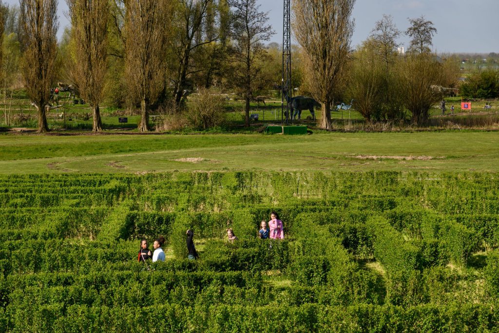 Entreeticket Dino Experience Park + Jurassic Golf - afbeelding 3