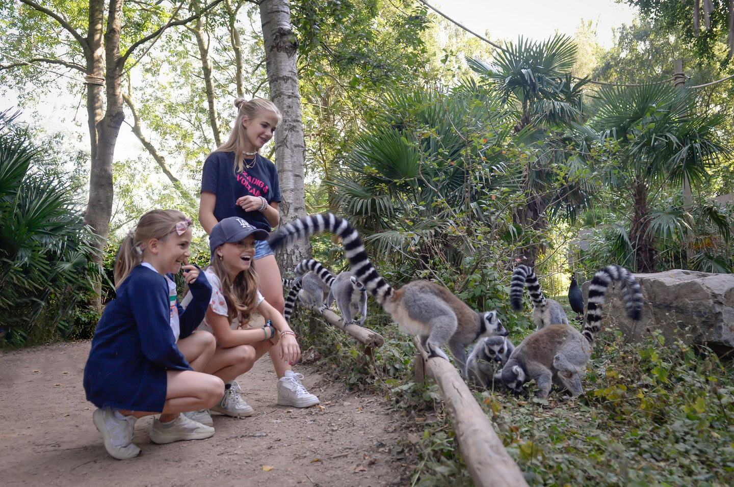 Vogelpark Avifauna - afbeelding 13