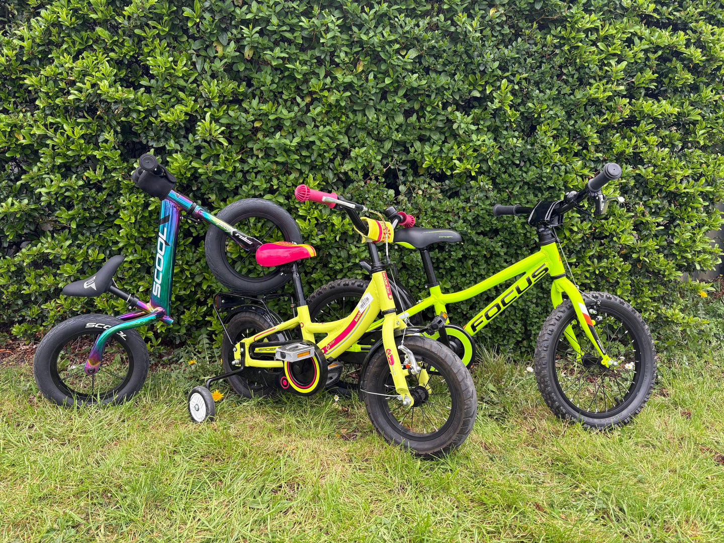 Sunparks - Fietsverhuur: Bike & Fun - afbeelding 10