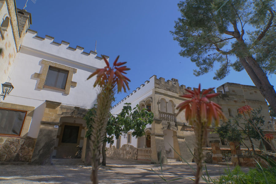 Arrangement Welzijn - Tenute Al Bano Wine & Wellness Resort - afbeelding 1