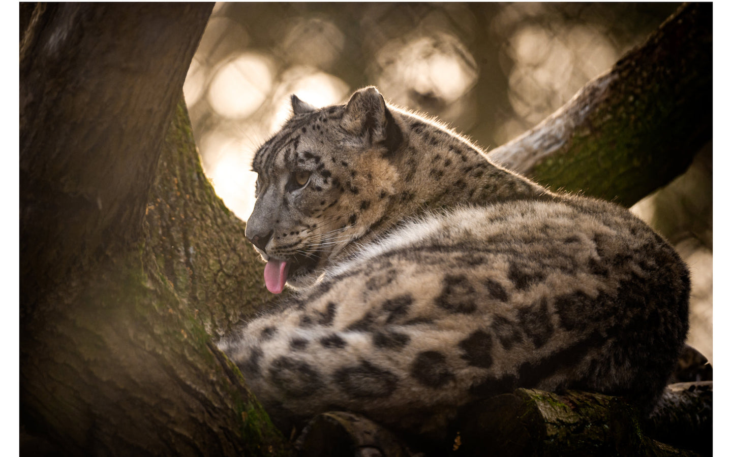 ZOO Planckendael - afbeelding 1
