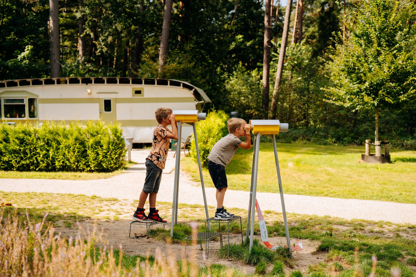 Nederlands Openluchtmuseum - afbeelding 12