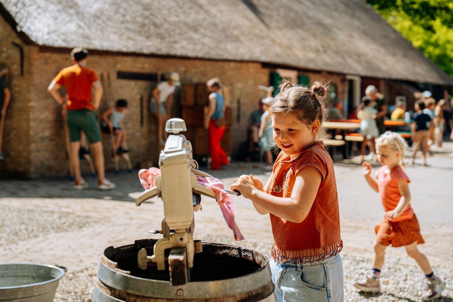 Nederlands Openluchtmuseum - afbeelding 2