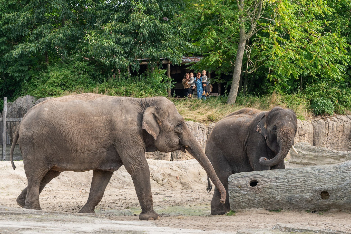 Wildlands Adventure Zoo Emmen - afbeelding 5