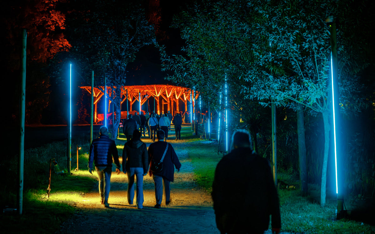 Nederlands Openluchtmuseum Uitgelicht - afbeelding 20