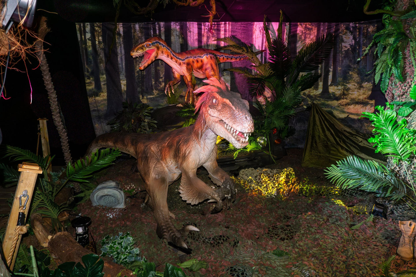 world-of-dinos-zandvoort - afbeelding 2