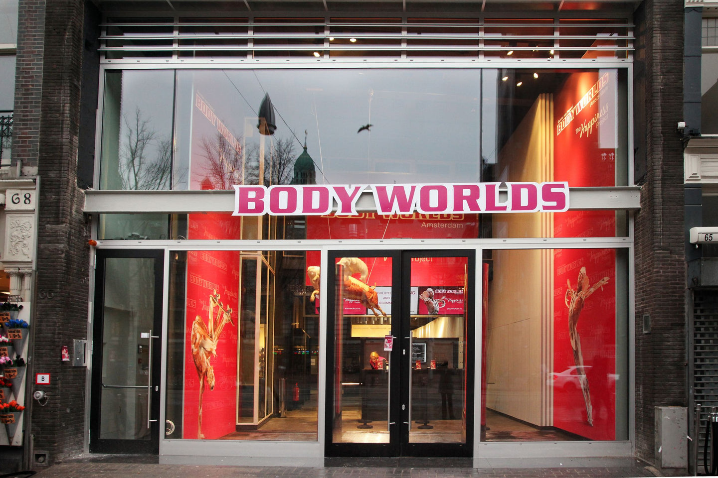 body-worlds - afbeelding 8