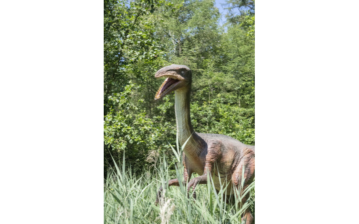dino-fabriek - afbeelding 6